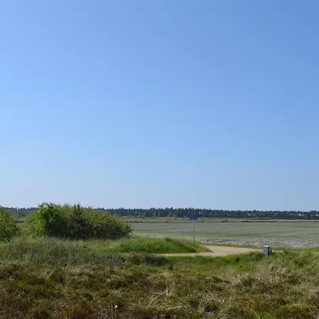 Allin - 1km From The Sea In Western Jutland By Interhome Holiday home